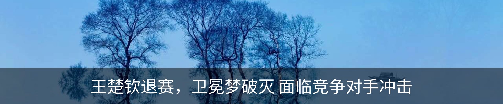 内页banner